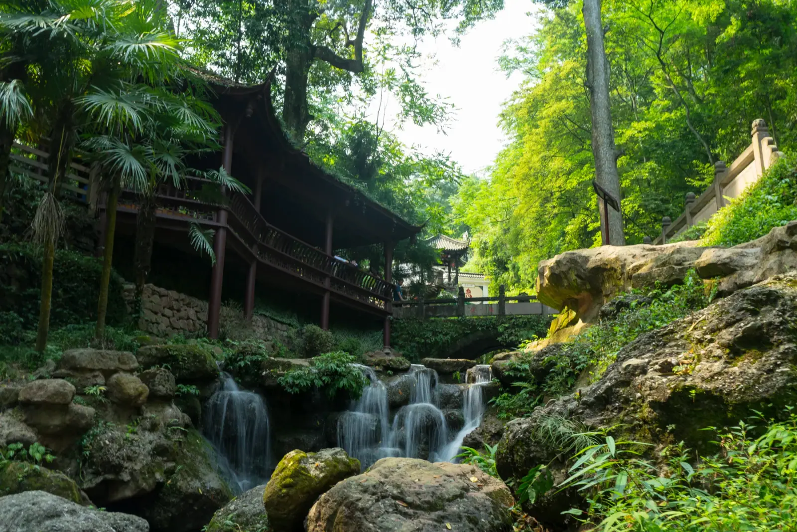 Misty green mountain slopes and forest at Mount Qingcheng near Chengdu